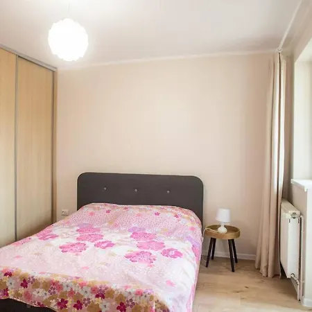 アパート Newly Remodeled, Furnished, 3 Flat With Balcony And Mountain Views In クルージュ＝ナポカ